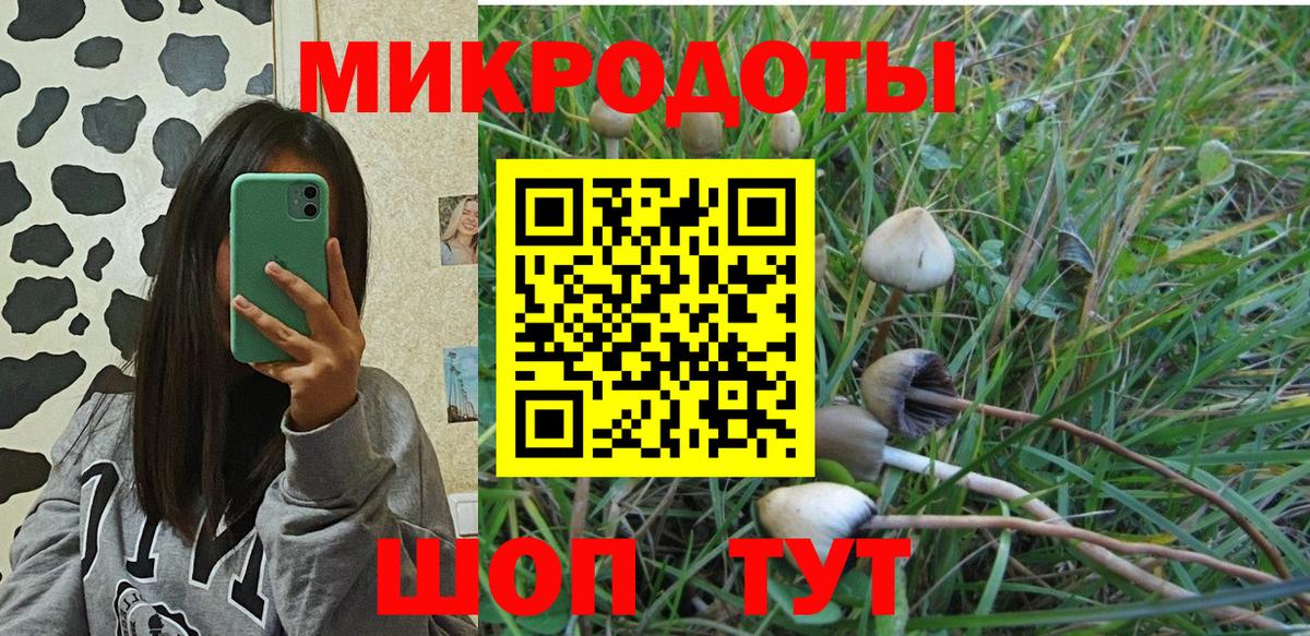 Галлюциногенные грибы Magic Shrooms Санкт-Петербург